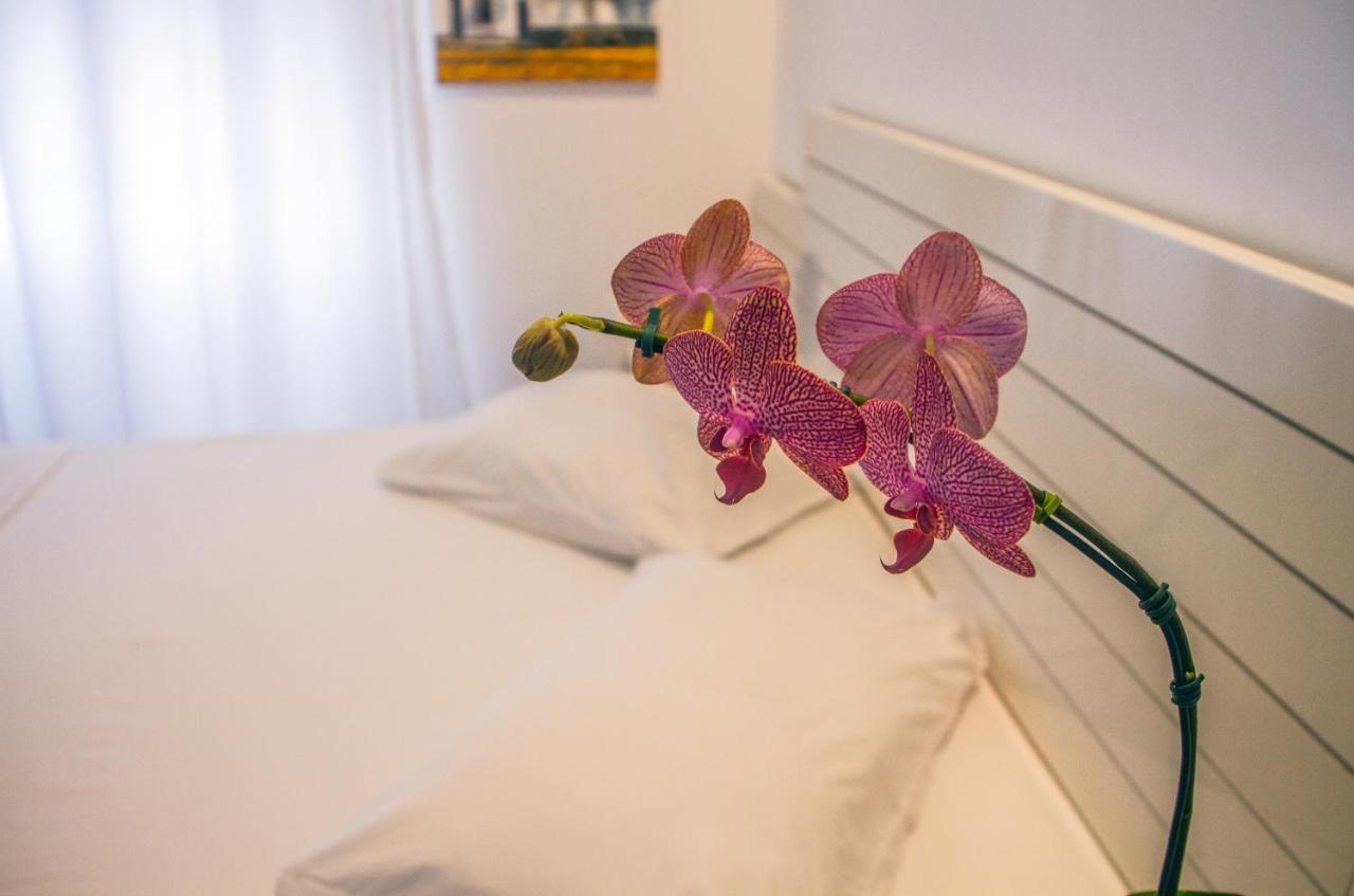 Casa Mar Arraial Casa de hóspedes Arraial do Cabo